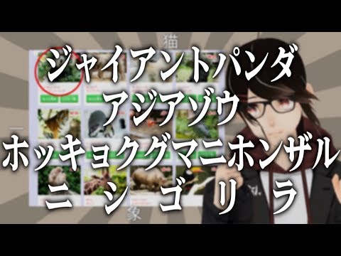 動画
