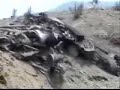 A Yemeni airplane that is fighting against Yemeni citizens in Sa'ada