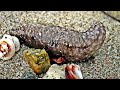 Click here to watch this video Shell we by Bahar