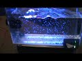 Reef Builders EcoTech Marine MP20