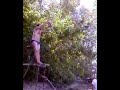 tuffo incredibile