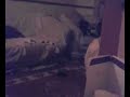 Jamie Haslop Caught Sractching his Ass On Spy Cam