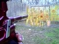 ICD Promaster stock, shooting on semi