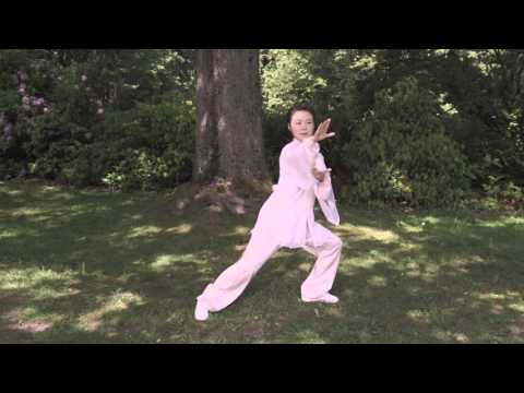 DVD: Simplified Tai Chi for Beginners - 48 Form
