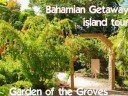 Grand Bahama Island Shore Excursions