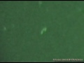 Triangle UFO Artesia NM Aug. 15, 2009 (stabilized + enhancements)