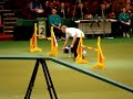 Greg and GT at crufts 2008