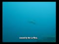 Tioman Mar08 Part 2 ????????2