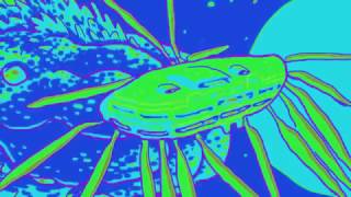SOLILIANS SHARE NEW VIDEO VIA TINY MIX TAPES