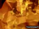 clip de l'echelle de jacob r�alis� par keudal production.
