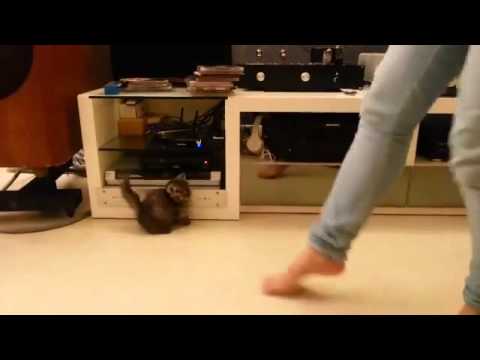 Play YouTube video