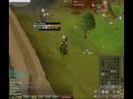 How to use Magic Brawling Gloves (Mini Guide)