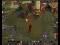 Babyllama 70 Warrior Ysondre Server US