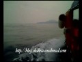 Dolphins Spotted At Perhentian Island, Terengganu, Malaysia.