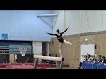 British Teams Huntingdon Bars and Beam