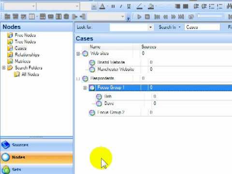 Nvivo Case Nodes creation