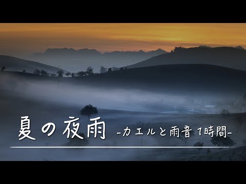 動画