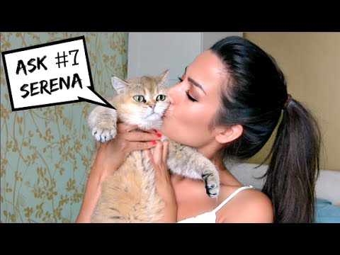 Opdracht: doe de macarena met je poes