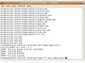 How to install WordPress 2.8.3 on Ubuntu 9.04 Linux XAMPP 1.7.1