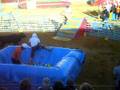 videos de L.Q.F GRAN PRIX 