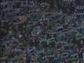 Youll never walk alone celtic-barcelona