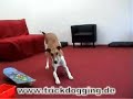Rückwärts kriechen Rückwärts kriechen