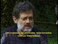 Terence McKenna en Mexico - Drogas