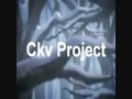ckv project try-out 2