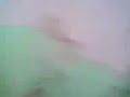 porque lo hisiste