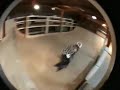 コウちゃん.MOV
