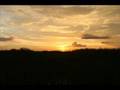 Everglades