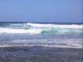 trip to HNL