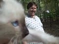 Li-Liang Meow - Adopted!