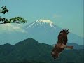 東急田園都市線は大変な放送を流していきました Ver1.8