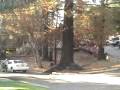 After the fire: a tour of the fire damage - Kerrwood