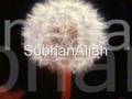 Qari Zaka-Ullah (EXTREMELY BEAUTIFUL RECITATION)