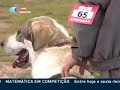 nós comemos o bacalhau vós comeis o polvo