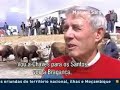 nós comemos o bacalhau vós comeis o polvo