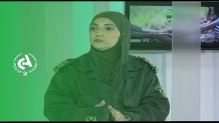 La DGF : Des arbres, des arbres et encore des arbres