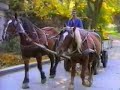 Gyönk/Jink 1995 - 3/3 Gyönk/Jink 1995 - 3/3
