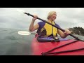 Ocean Wilderness Tours Of Eden - Top Tourist Parks - Discover Downunder