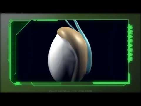 how to cure azoospermia by medicine