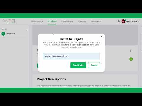 How to invite team members to a project on Sync!