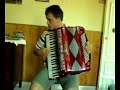 Fisarmonica Impazzita - Diego Caligiuri