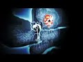 NFS: Carbon - Darius/Stacked Deck Bio Profile