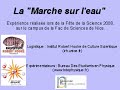 Expérience de la marche sur l\