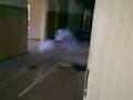 videos de granaat