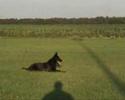 uschi
