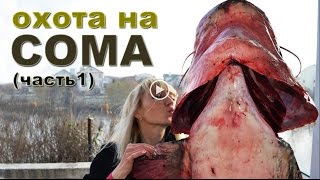 Spearfishing on the Dnieper Giant Cat fish - ох�