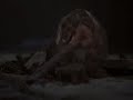 The Count of Monte Cristo Video